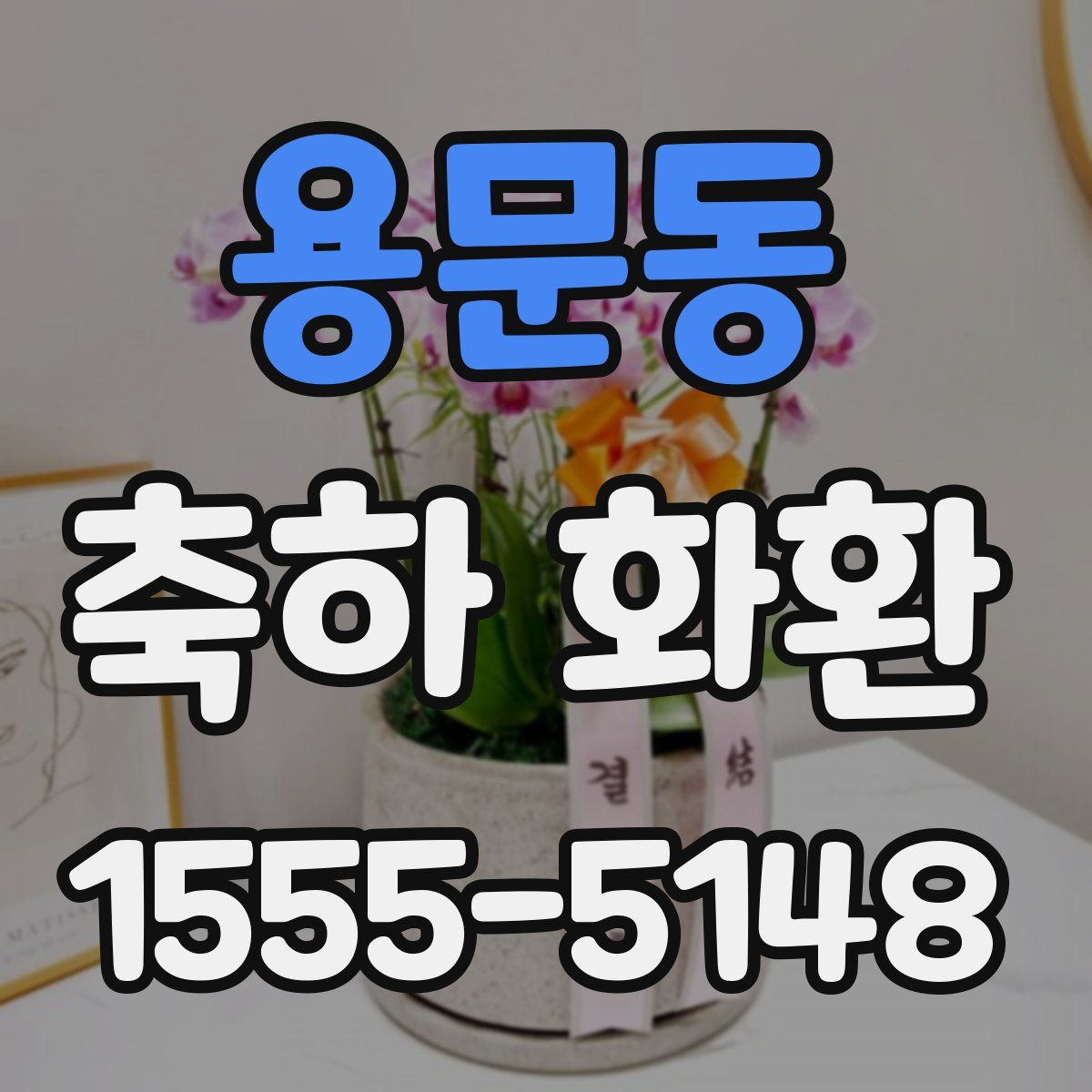 용문동 축하 화환
