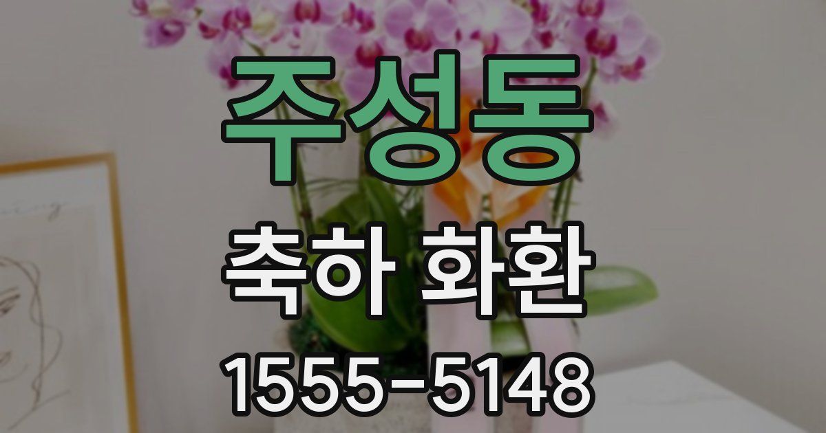 주성동 축하 화환