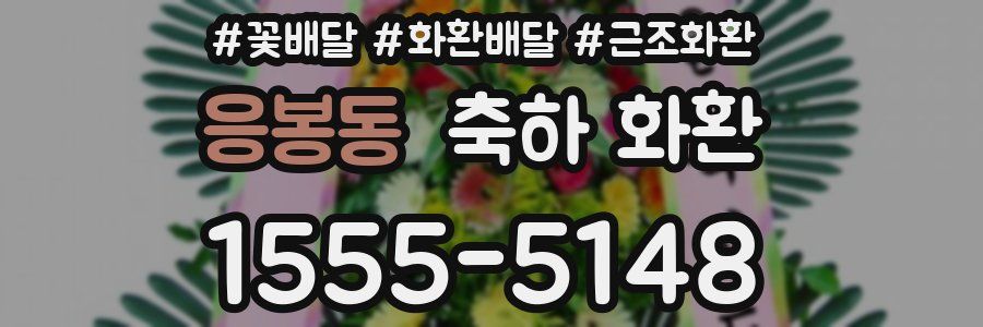 응봉동 축하 화환