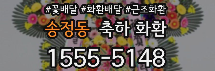 송정동 축하 화환