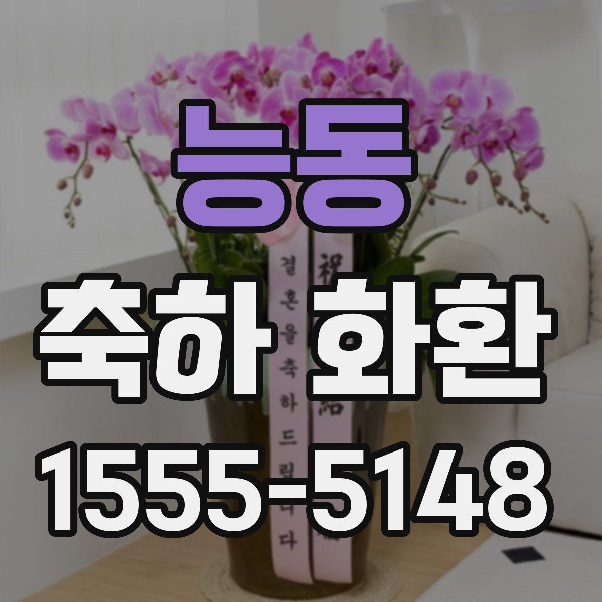 능동 축하 화환