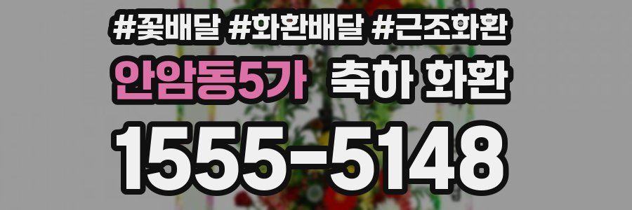 안암동5가 축하 화환
