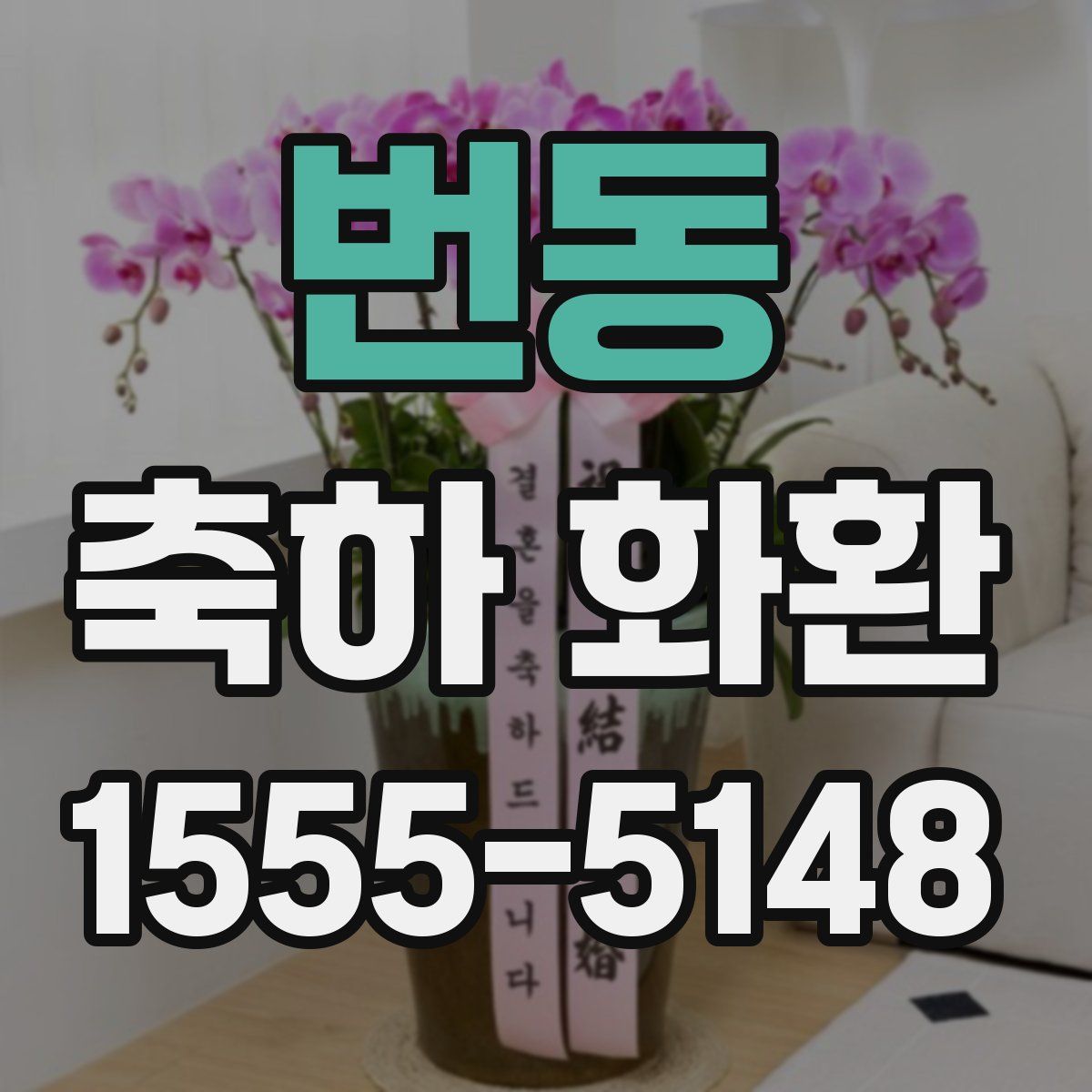 번동 축하 화환