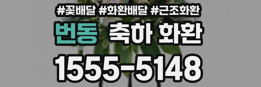 번동 축하 화환