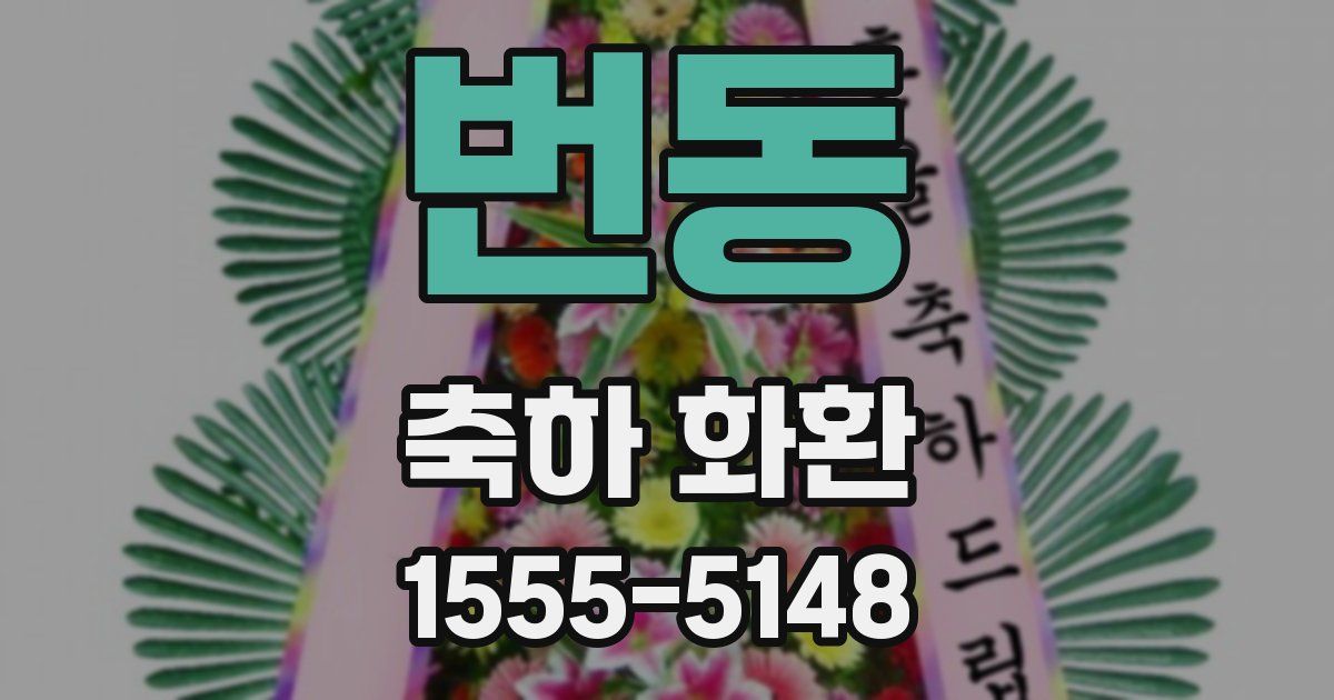 번동 축하 화환