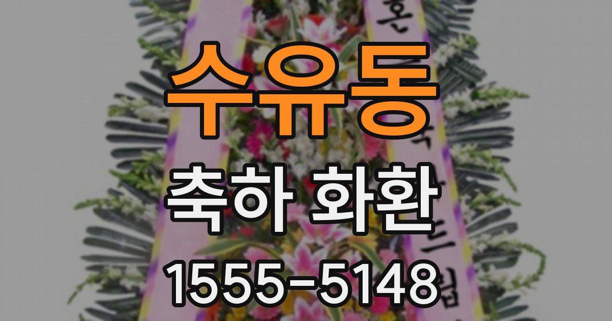 수유동 축하 화환