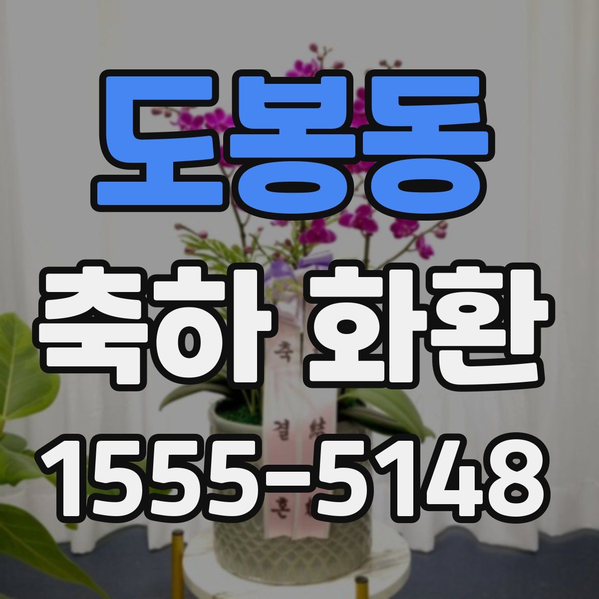 도봉동 축하 화환