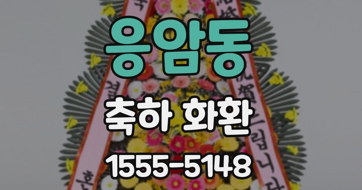 응암동 축하 화환