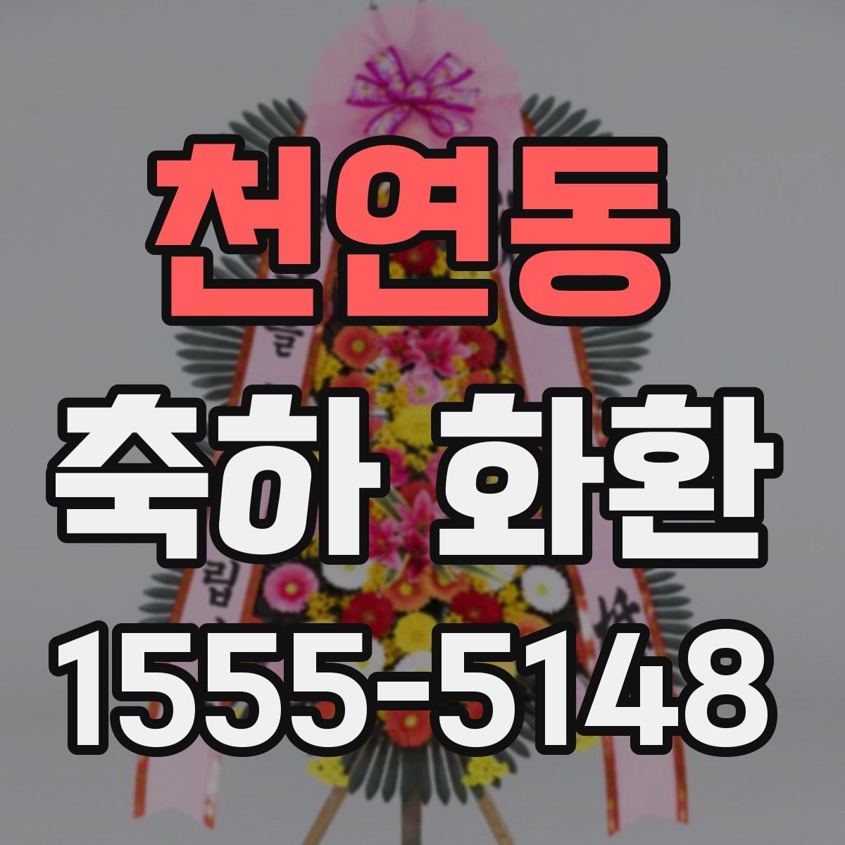 천연동 축하 화환