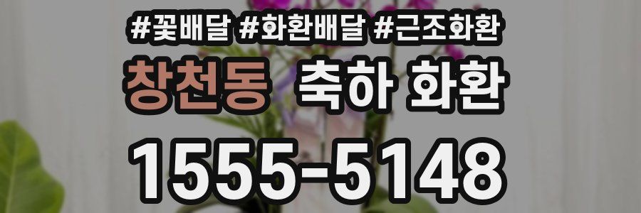 창천동 축하 화환