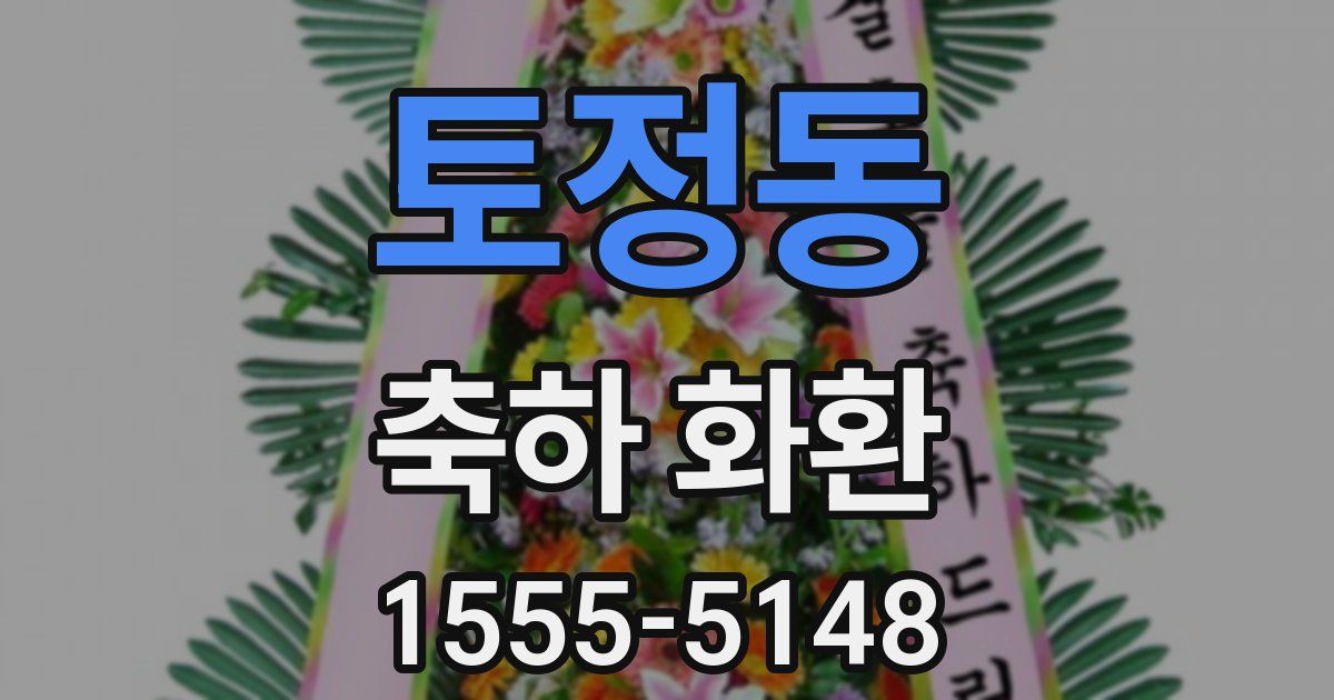 토정동 축하 화환