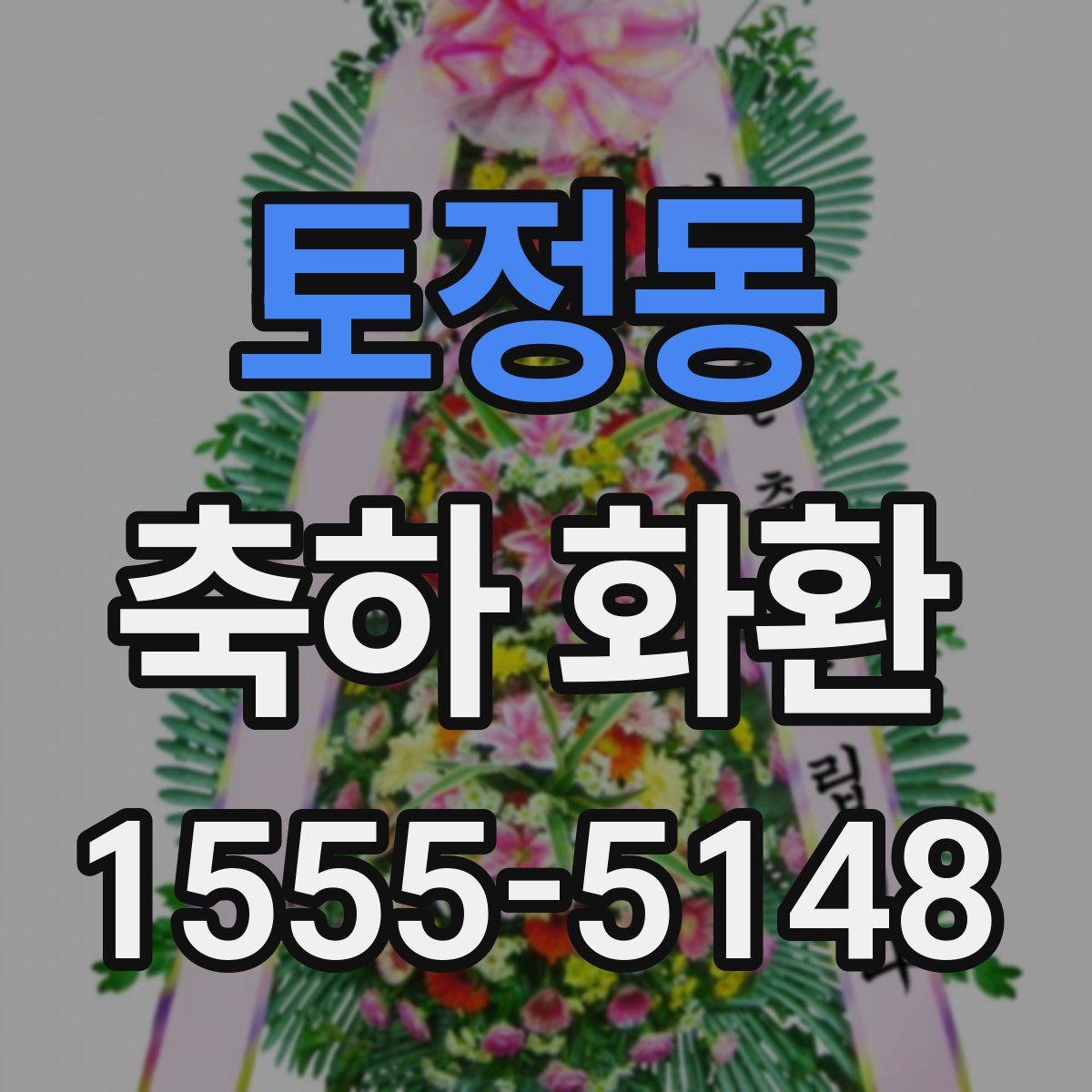토정동 축하 화환