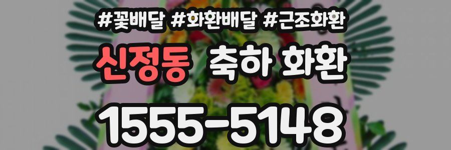 신정동 축하 화환