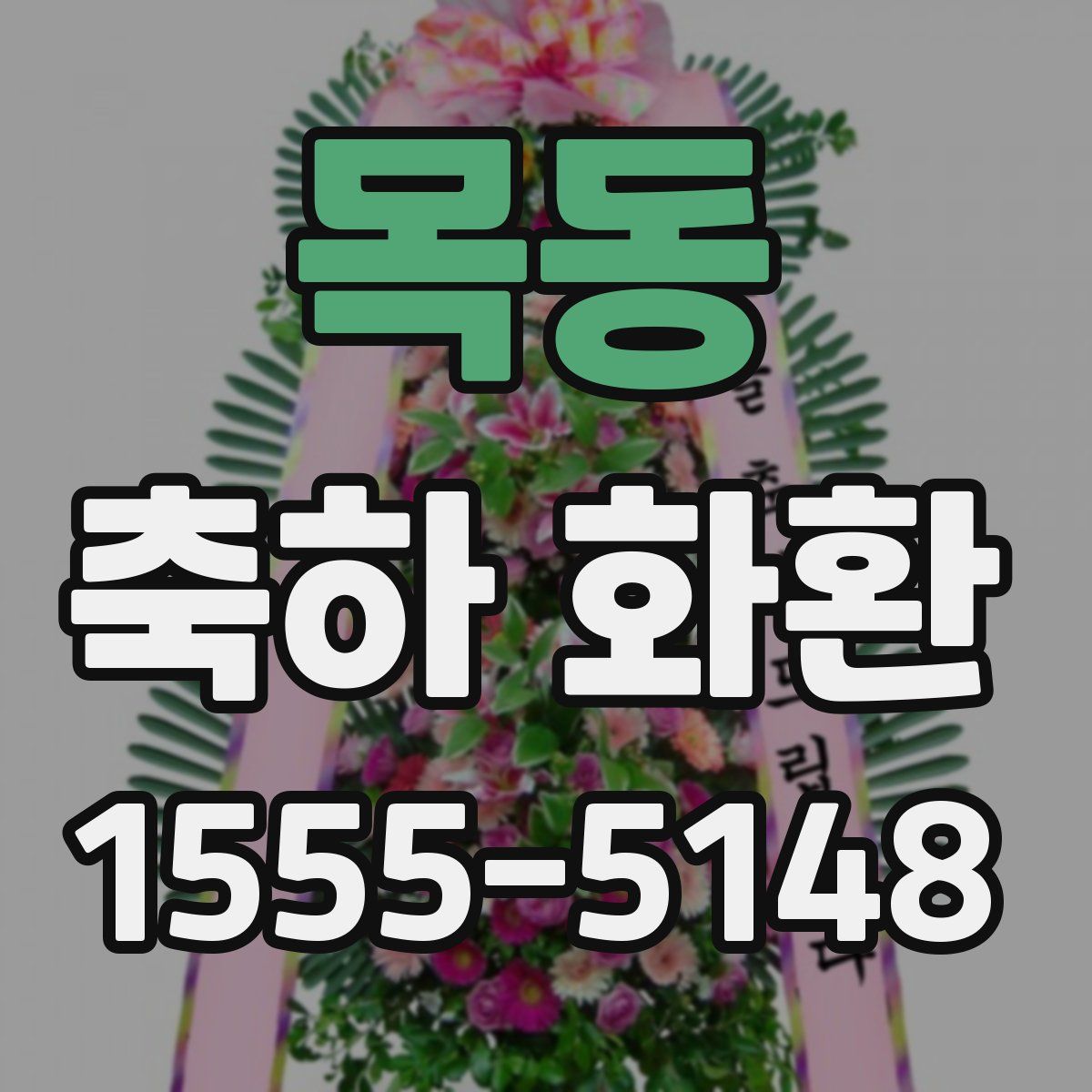 목동 축하 화환
