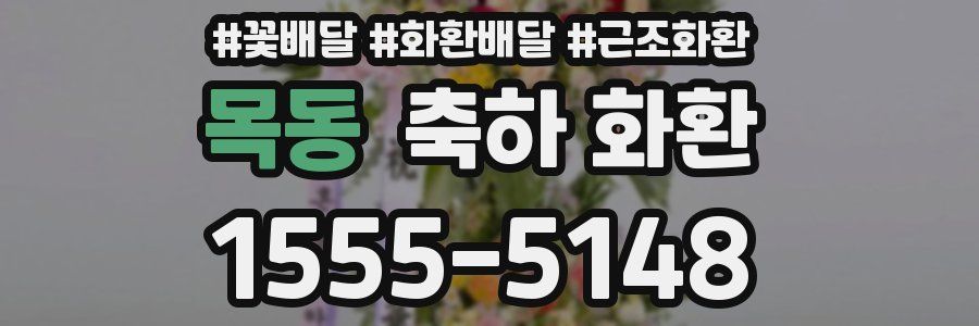 목동 축하 화환