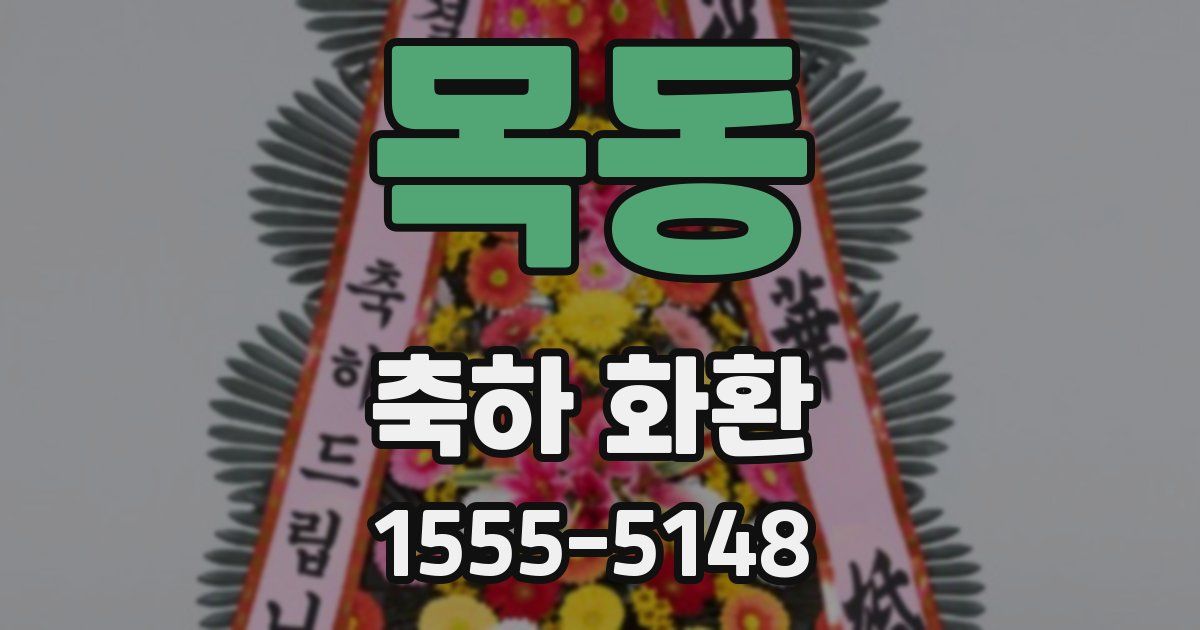 목동 축하 화환
