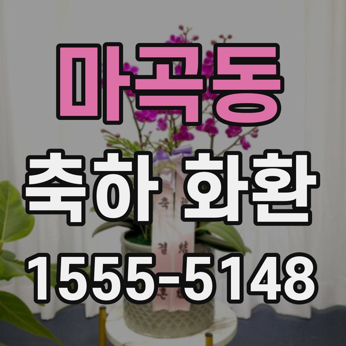 마곡동 축하 화환