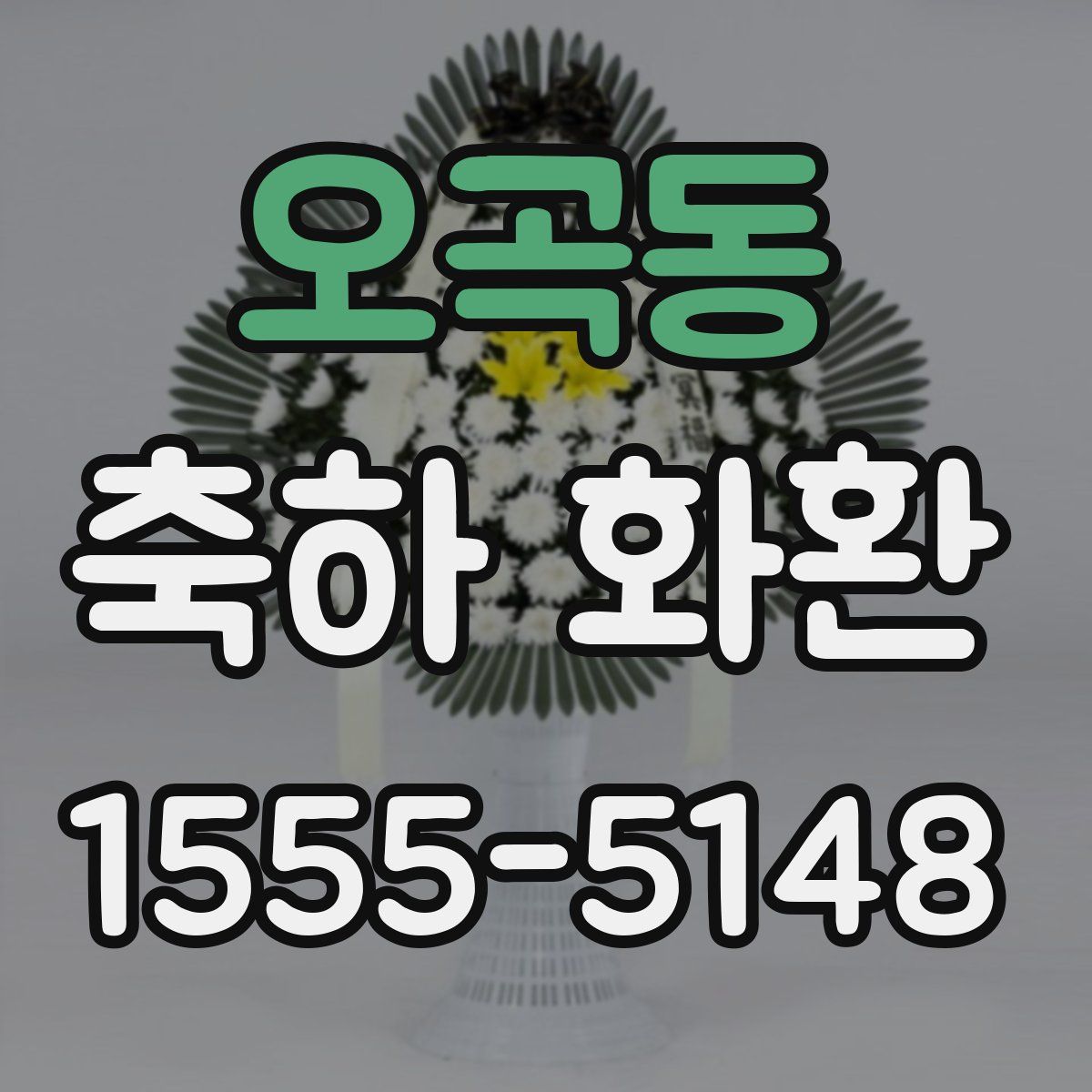 오곡동 축하 화환