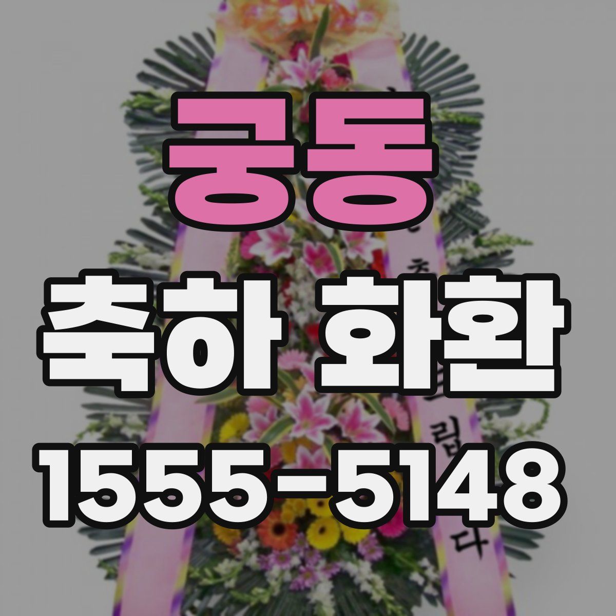 궁동 축하 화환