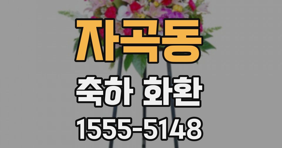자곡동 축하 화환