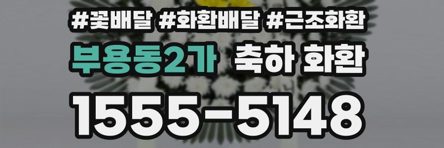 부용동2가 축하 화환