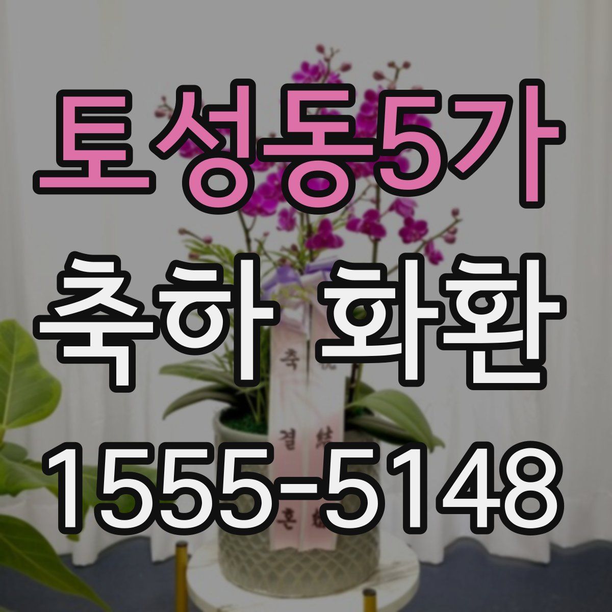 토성동5가 축하 화환