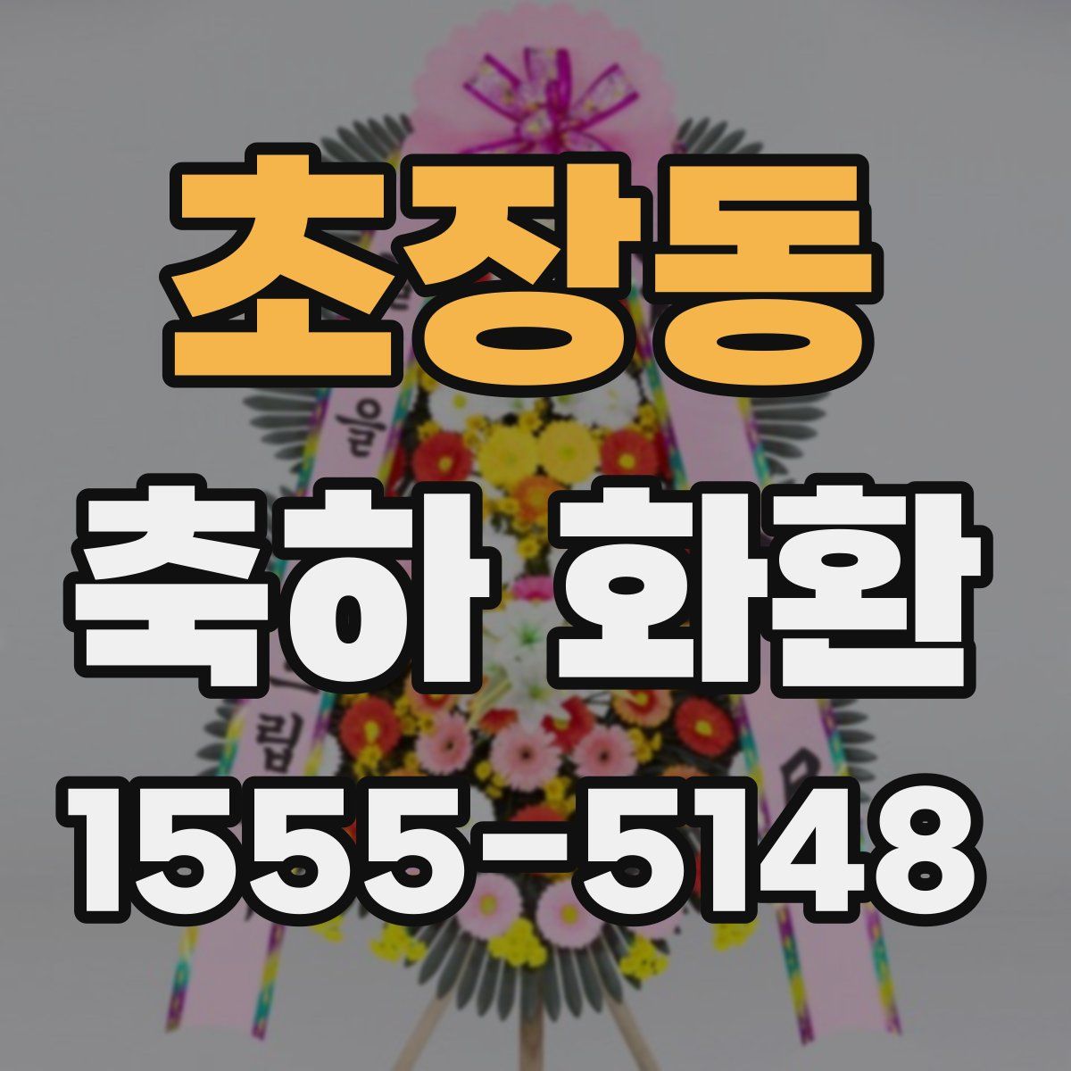 초장동 축하 화환