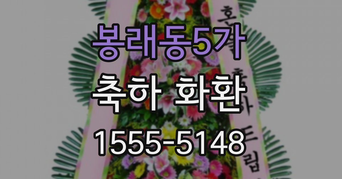 봉래동5가 축하 화환