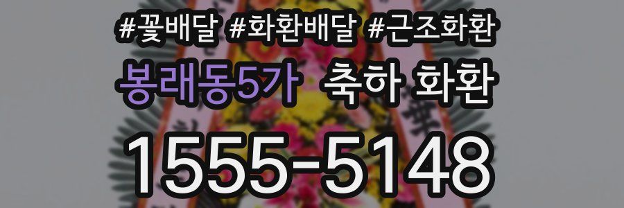 봉래동5가 축하 화환