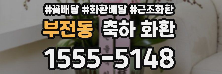 부전동 축하 화환