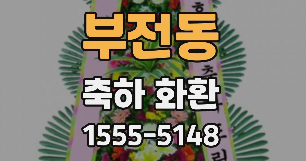 부전동 축하 화환