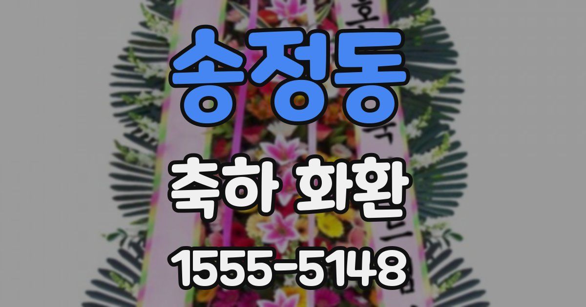 송정동 축하 화환