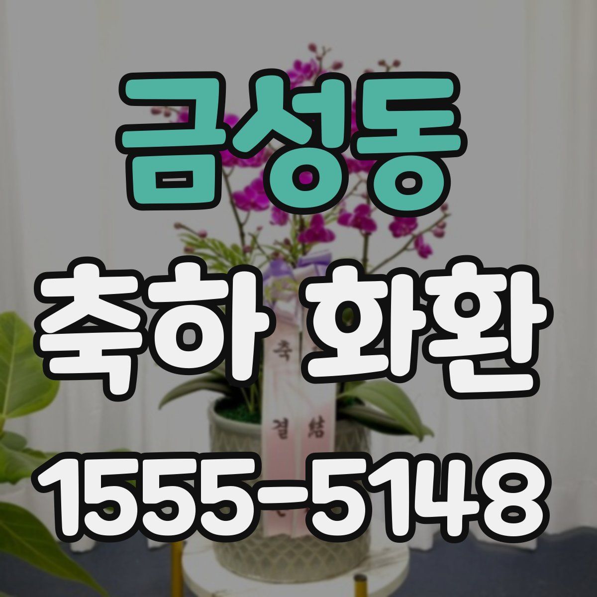 금성동 축하 화환