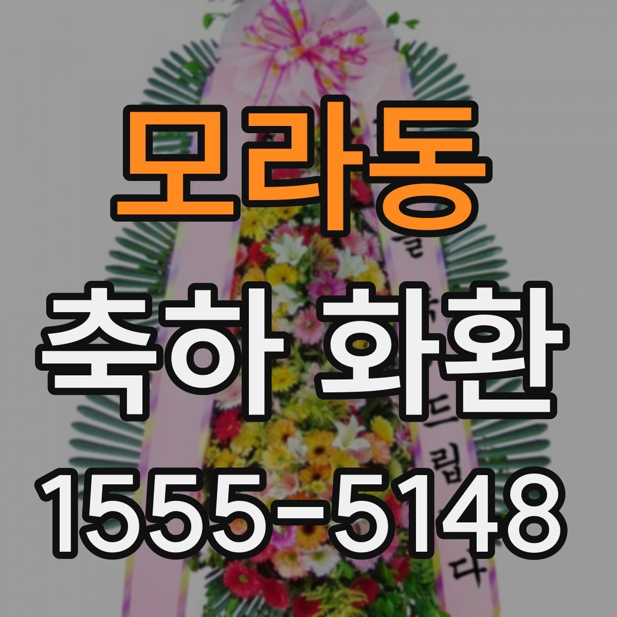 모라동 축하 화환