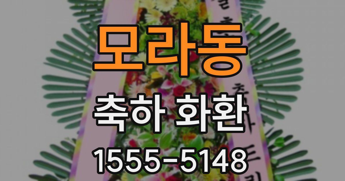 모라동 축하 화환