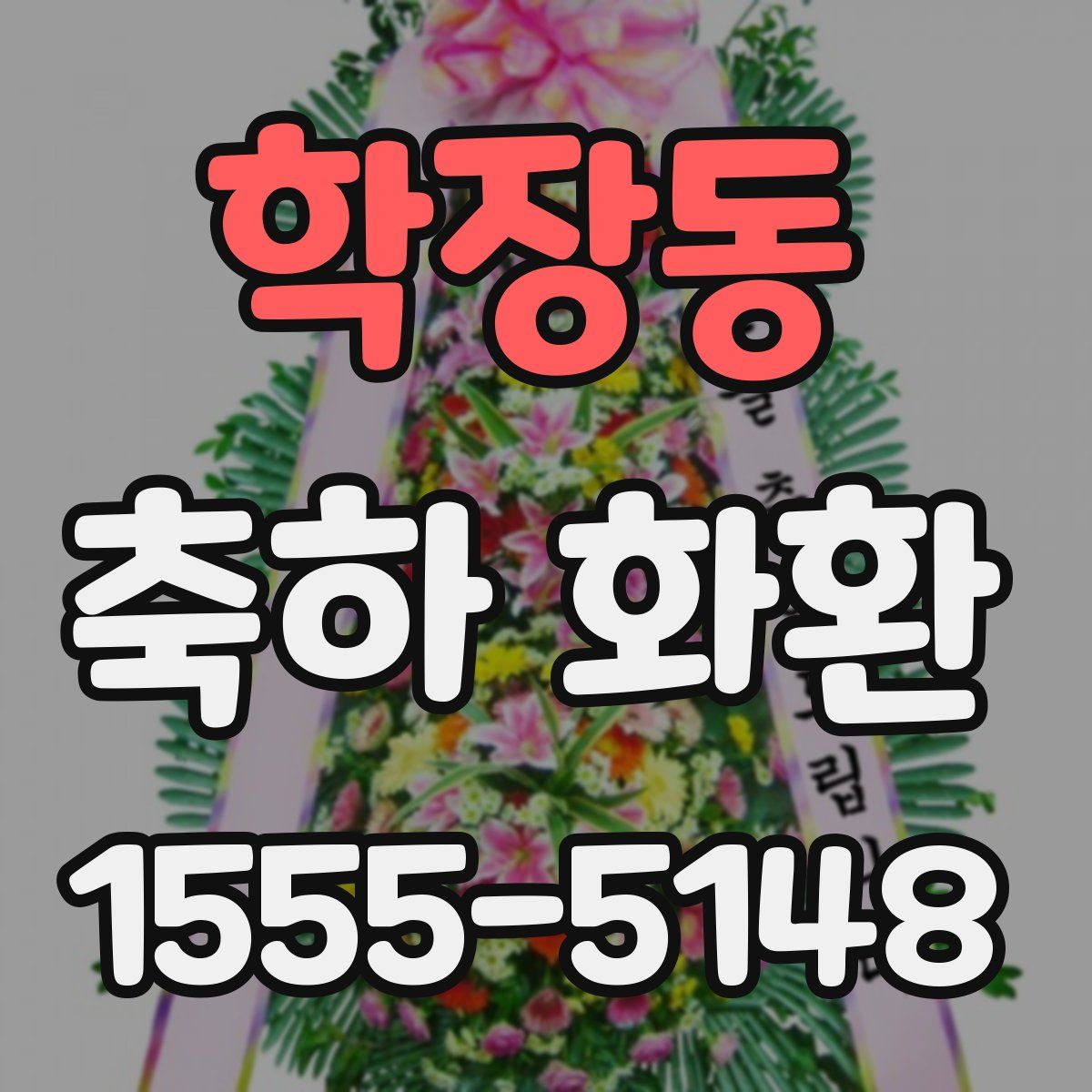학장동 축하 화환