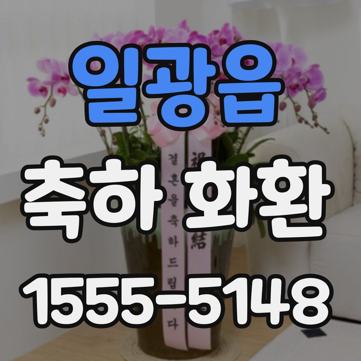 일광읍 축하 화환