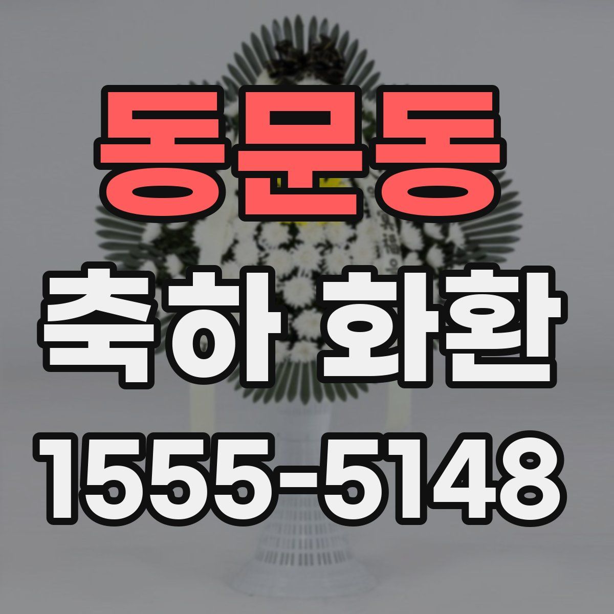동문동 축하 화환