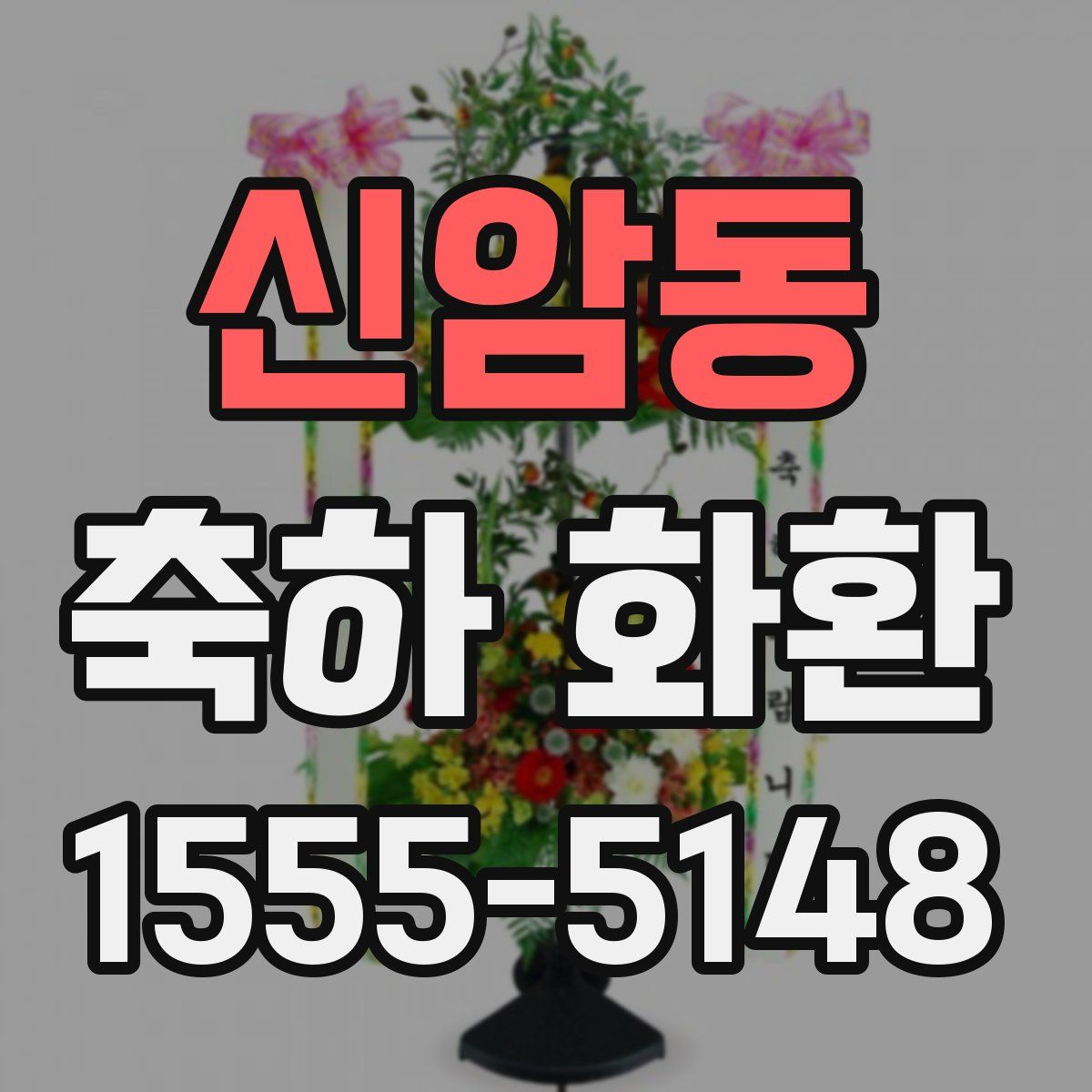 신암동 축하 화환