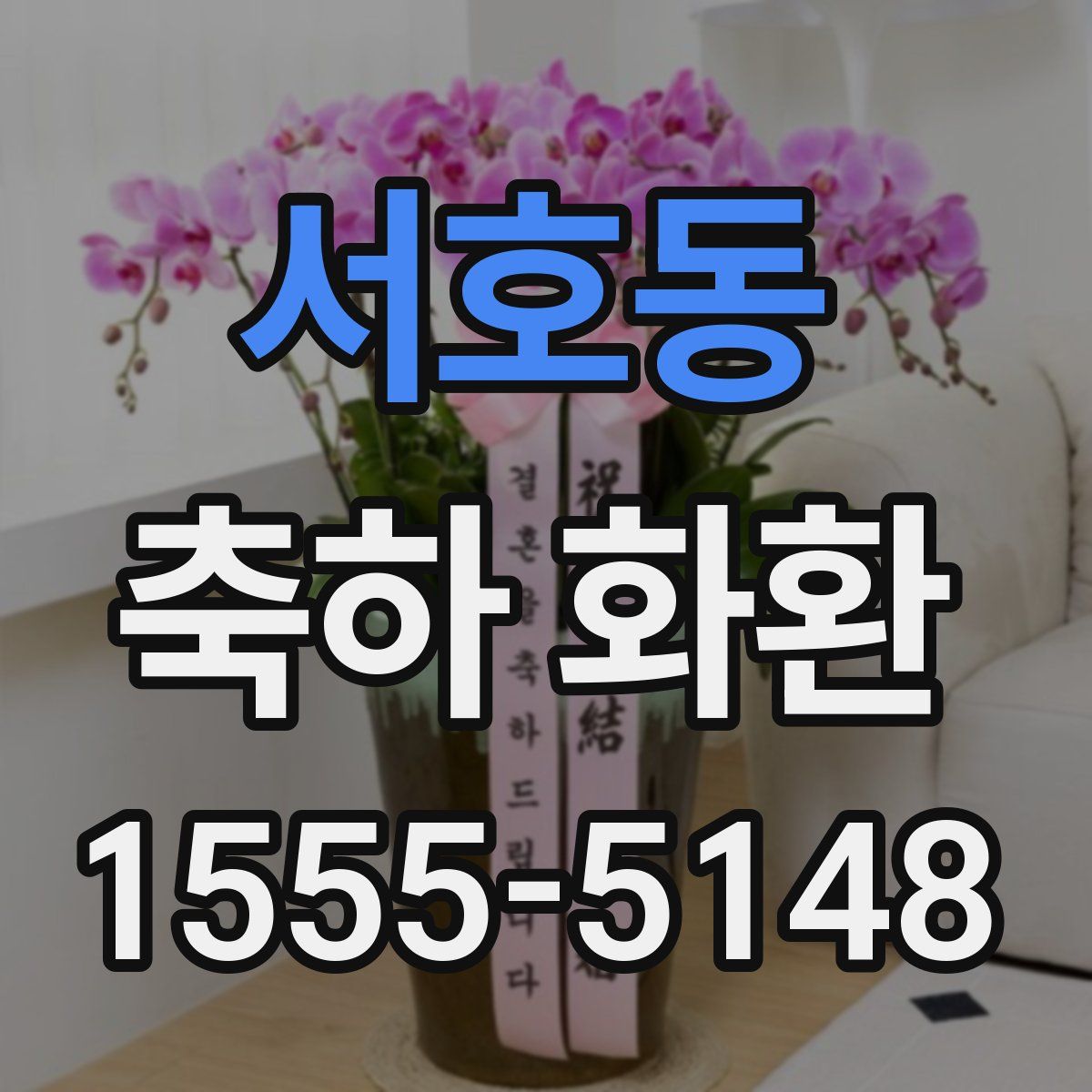 서호동 축하 화환