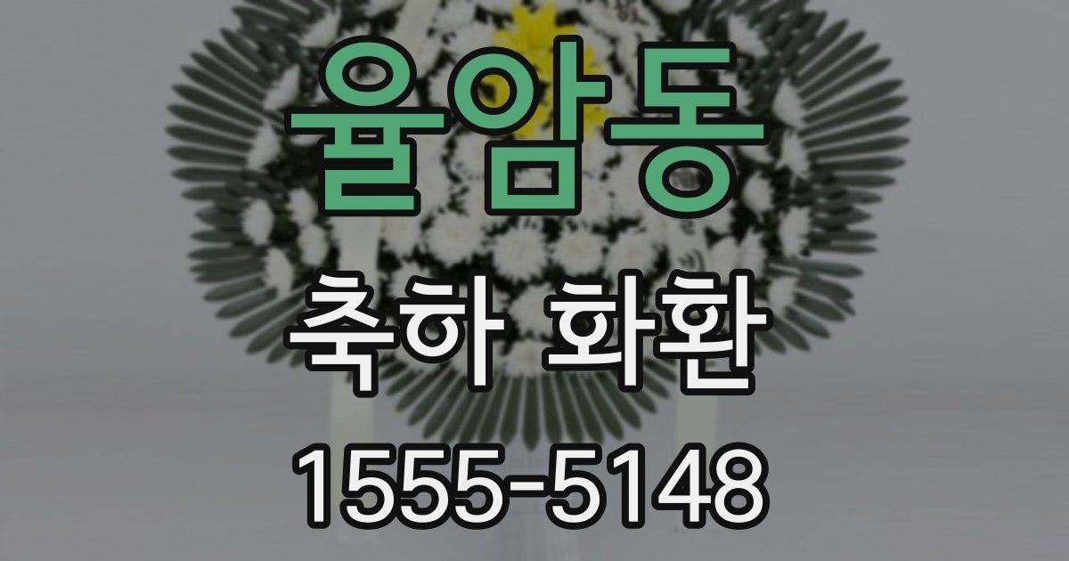 율암동 축하 화환