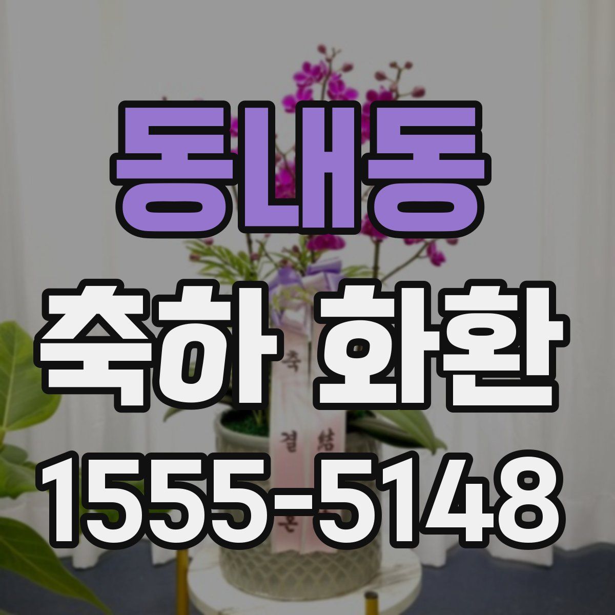 동내동 축하 화환