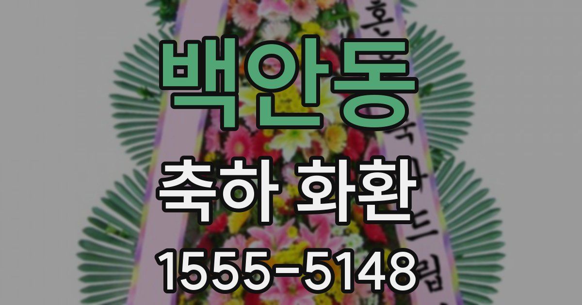 백안동 축하 화환
