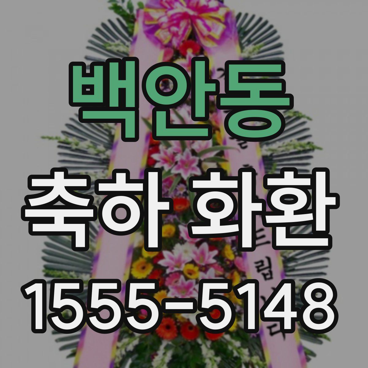 백안동 축하 화환