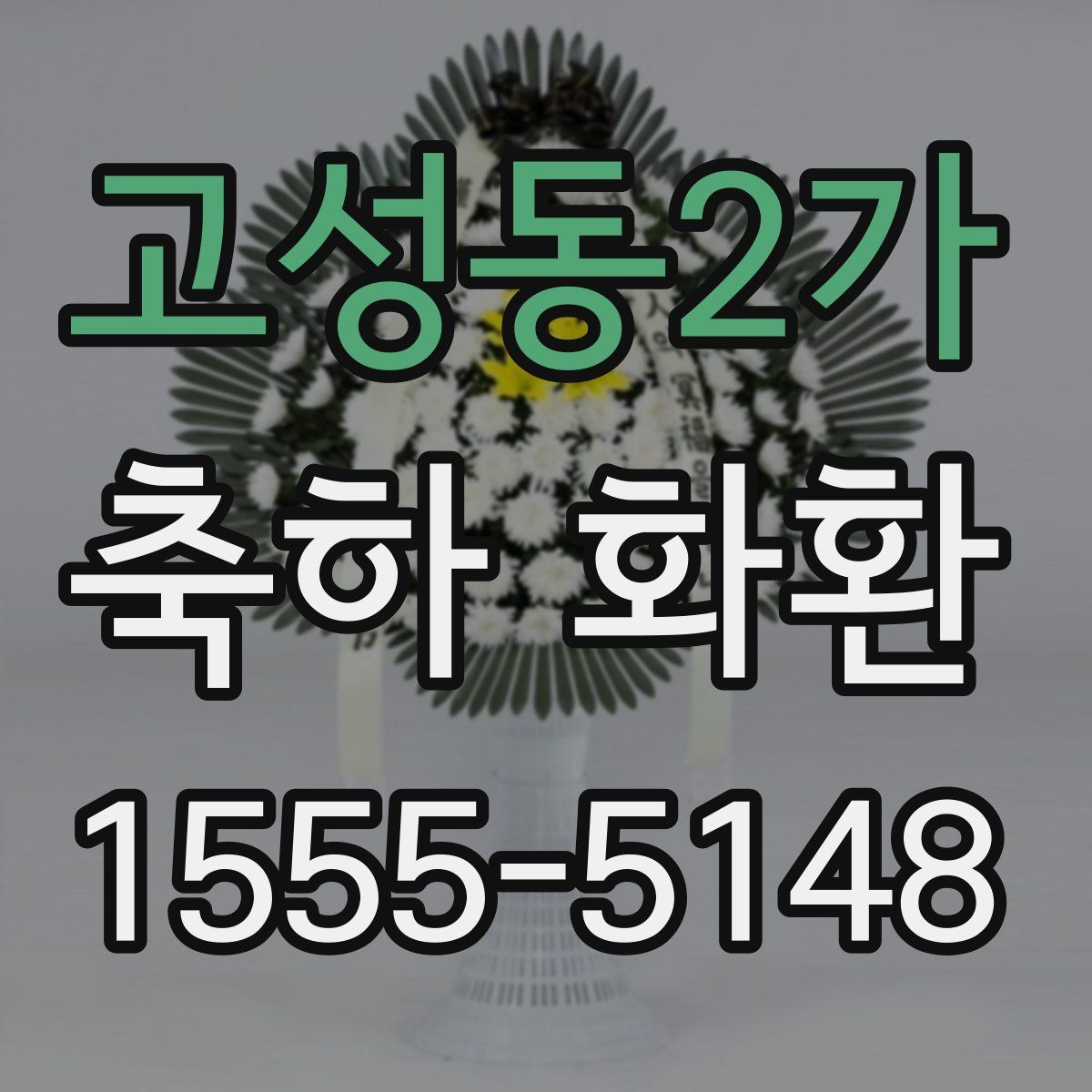 고성동2가 축하 화환