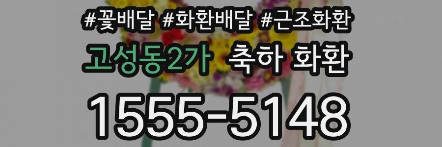 고성동2가 축하 화환