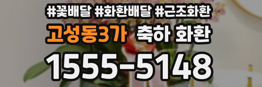 고성동3가 축하 화환