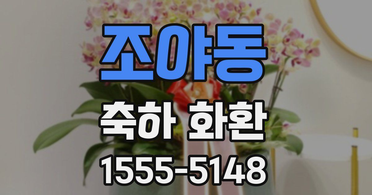 조야동 축하 화환