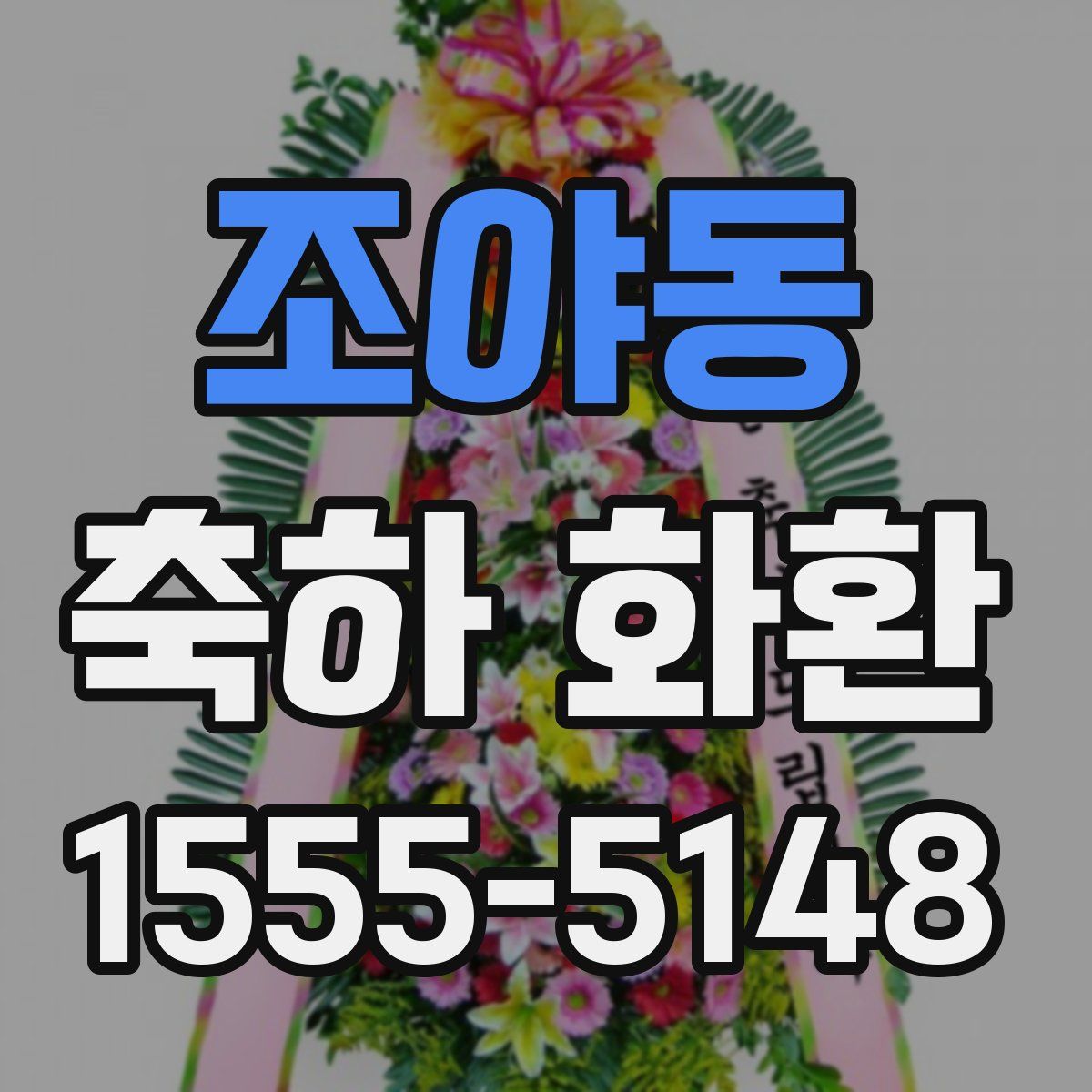 조야동 축하 화환