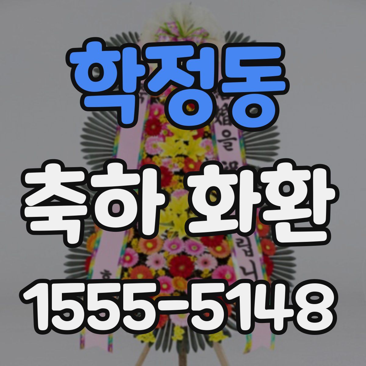 학정동 축하 화환